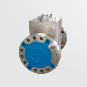 Dual plate check valve