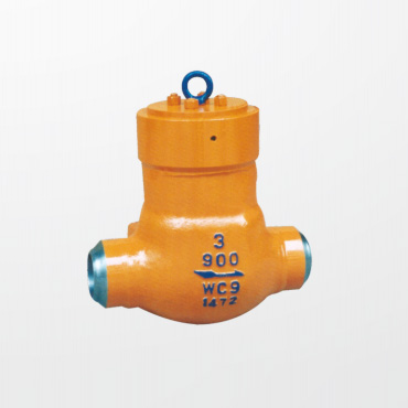 Pressure seal swing check valve